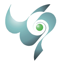 Visionary Computer Solutions